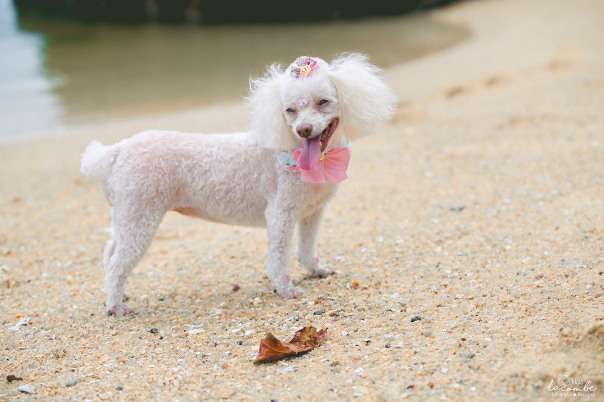Letícia + Raul = Catarina | Sessão fotográfica gestante