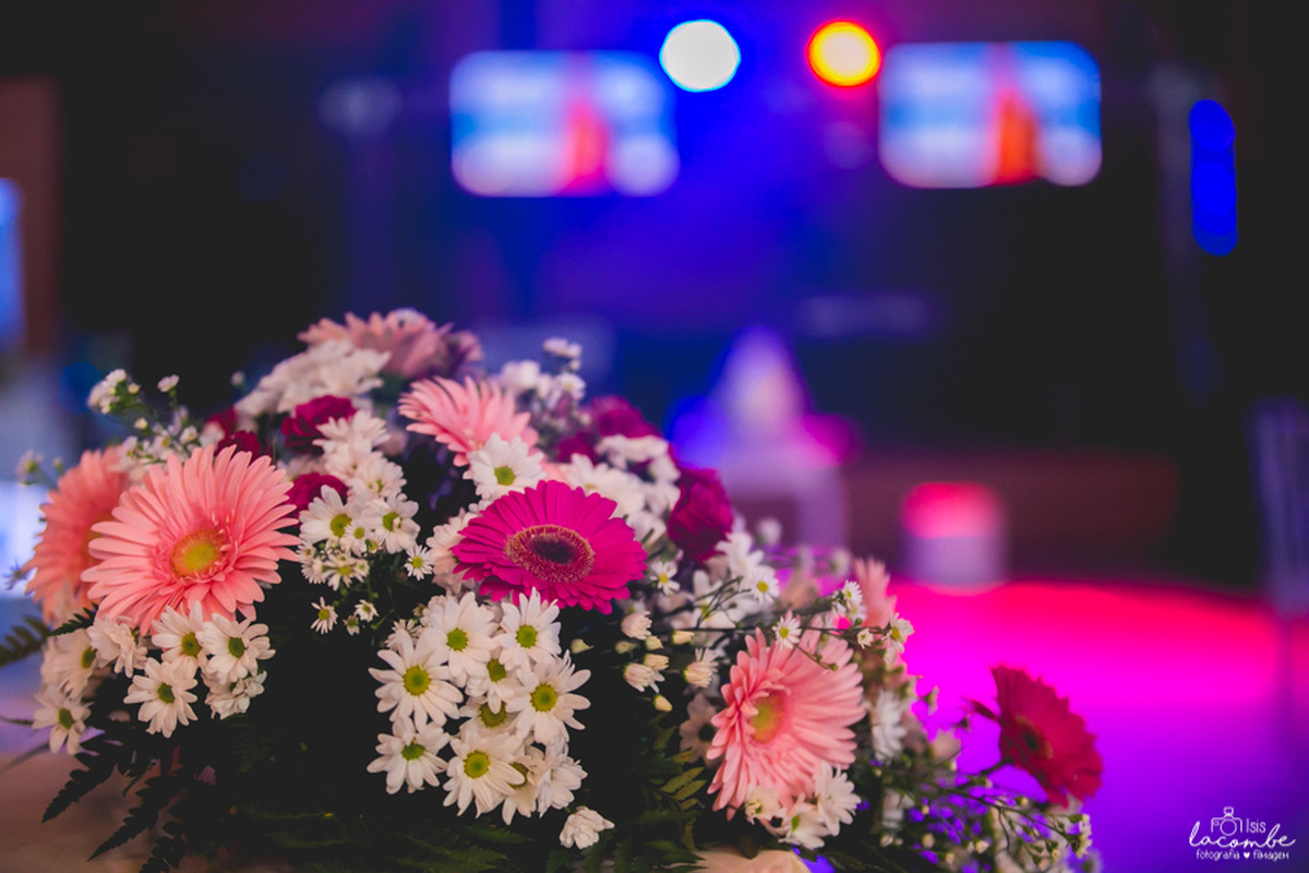 Duda | 15 anos | Aniversário