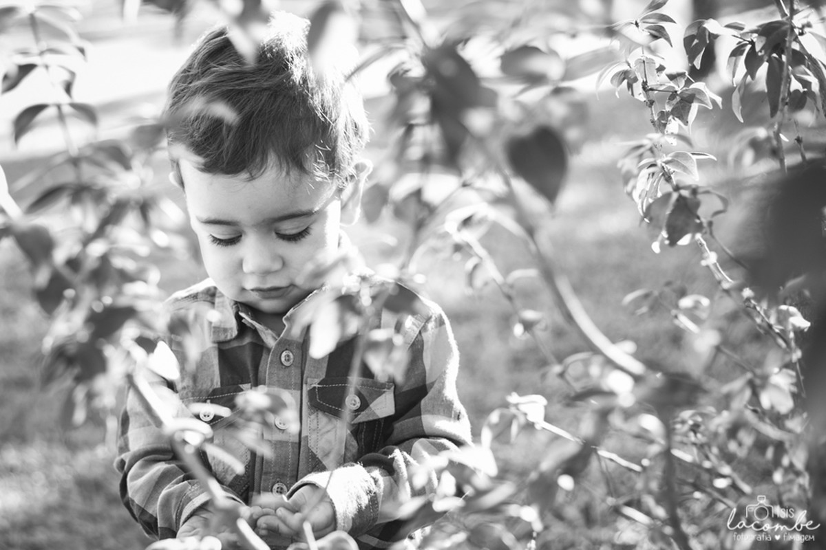 Família | Sessão Fotográfica | Milene + Davi + Lucas