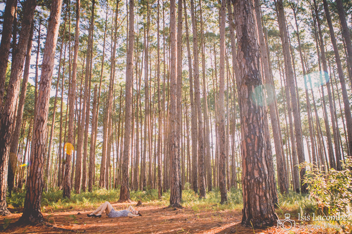 Sessão Fotográfica | Elaine Cristina