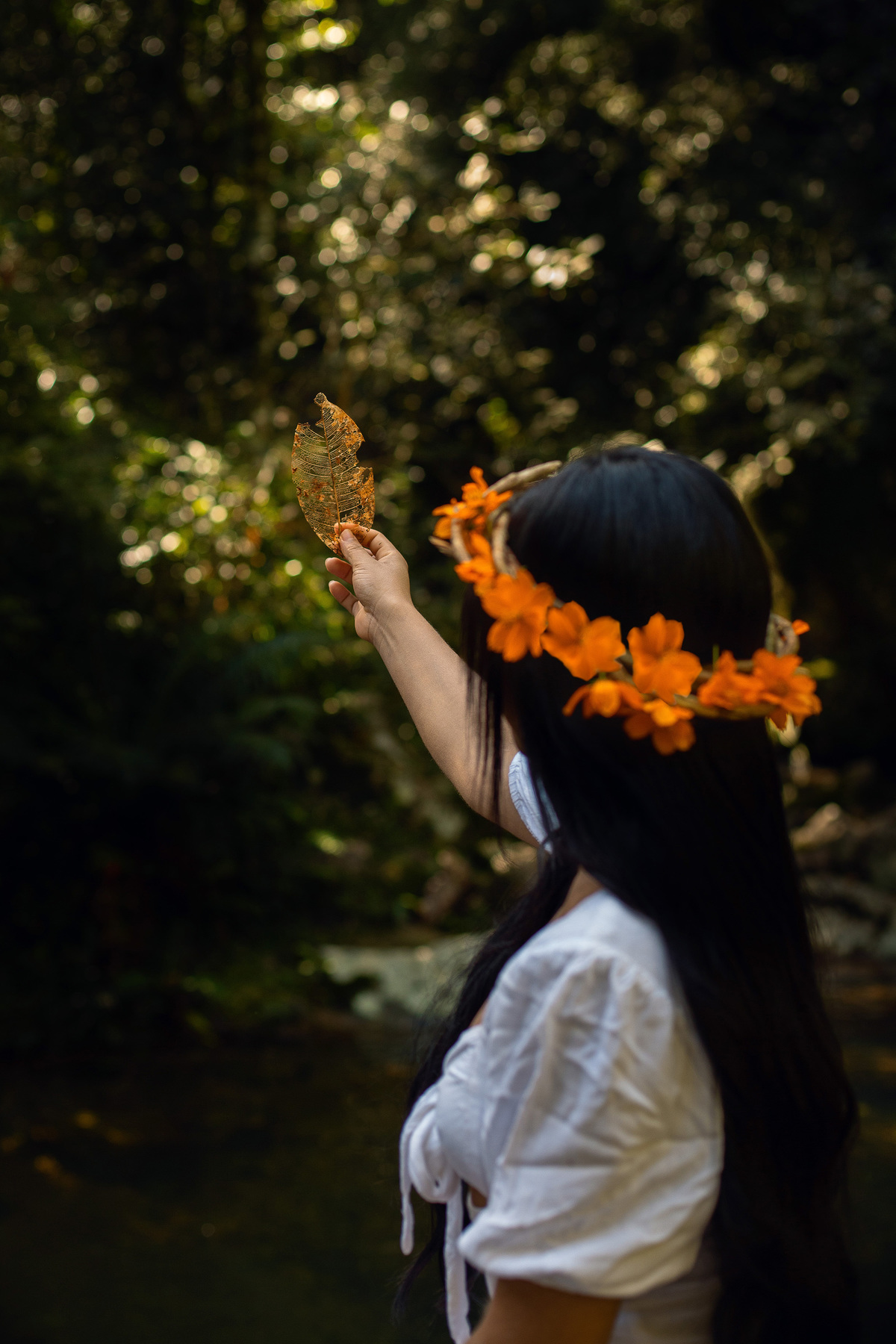Ensaio em cachoeira por Ricardo Zanetta, Floripa