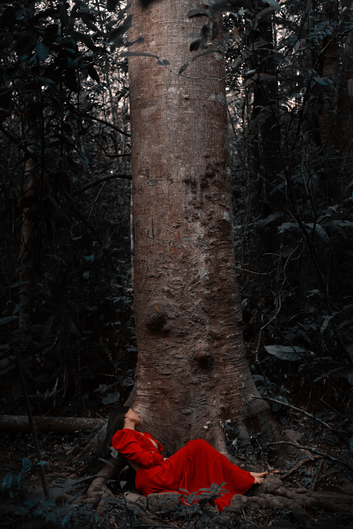 Ensaio em cachoeira por Ricardo Zanetta, Floripa