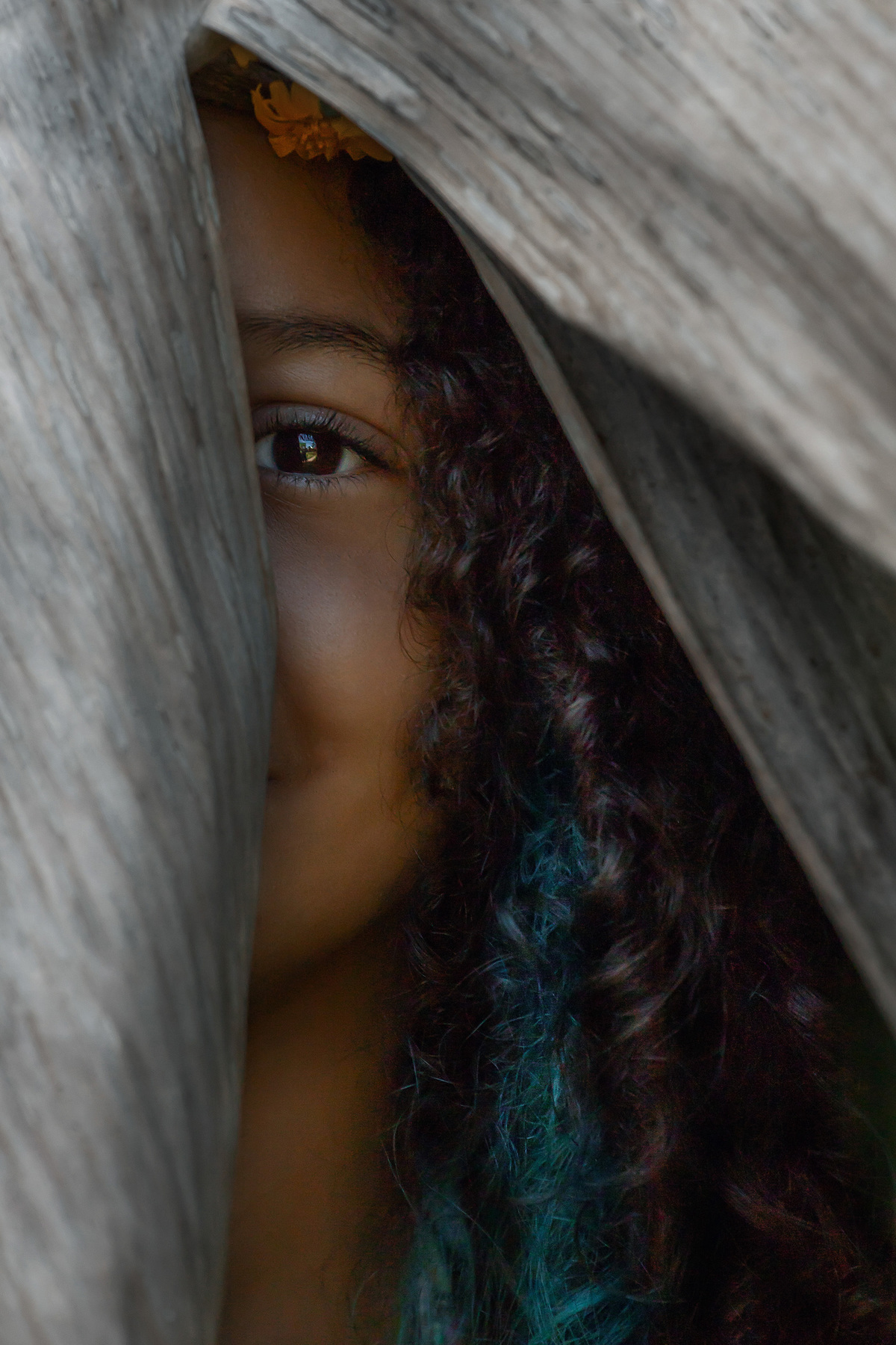 Ensaio familia em Florianopolis por Ricardo Zanetta