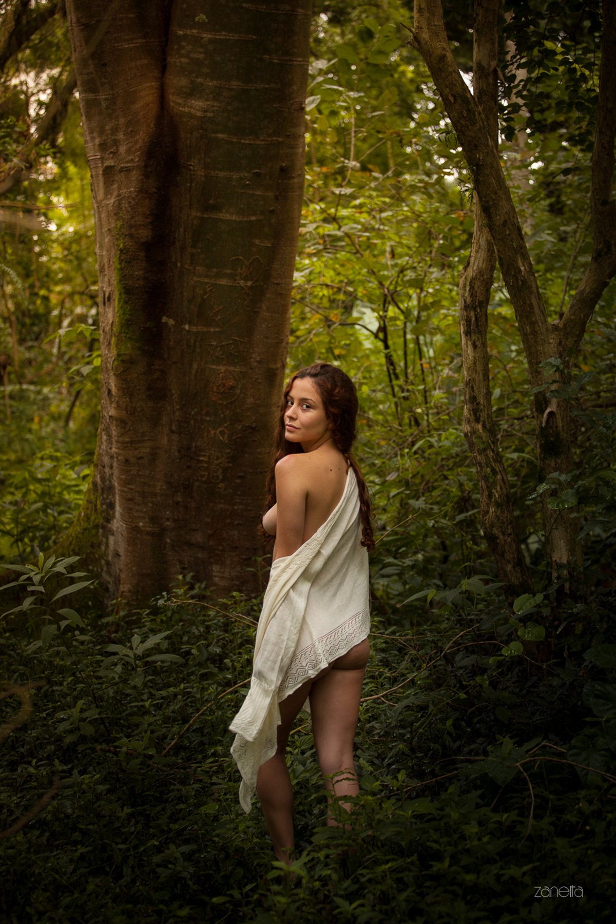 Ensaio Nu Artístico-Ricardo Zanetta