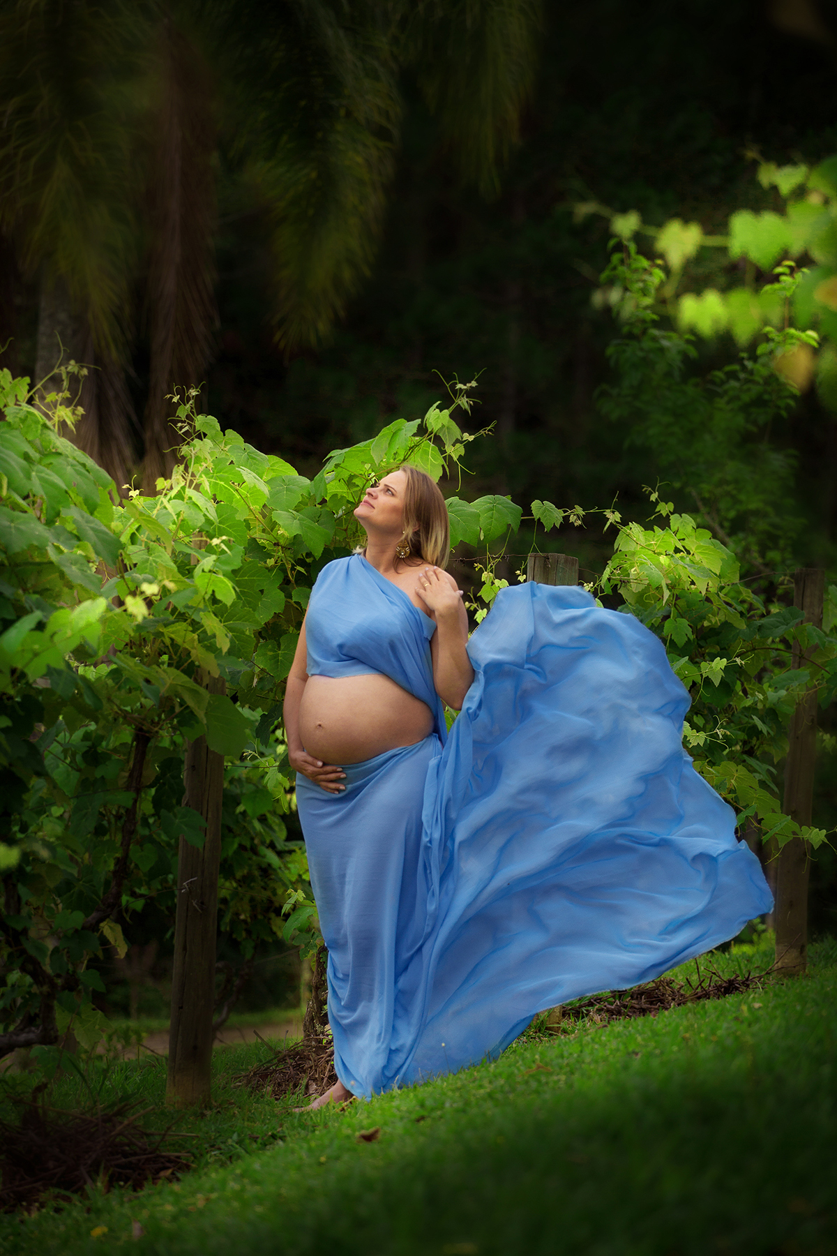 ensaio gestante florianopolis