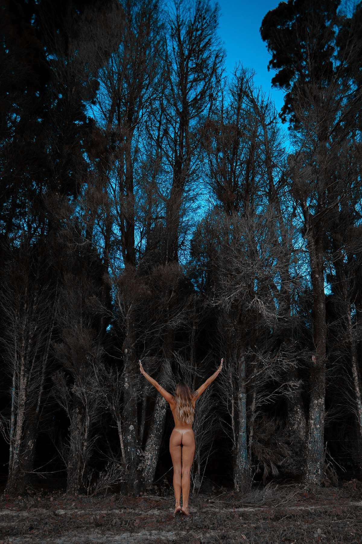 Nu artístico em Florianópolis. Trabalho de Ricardo Zanetta