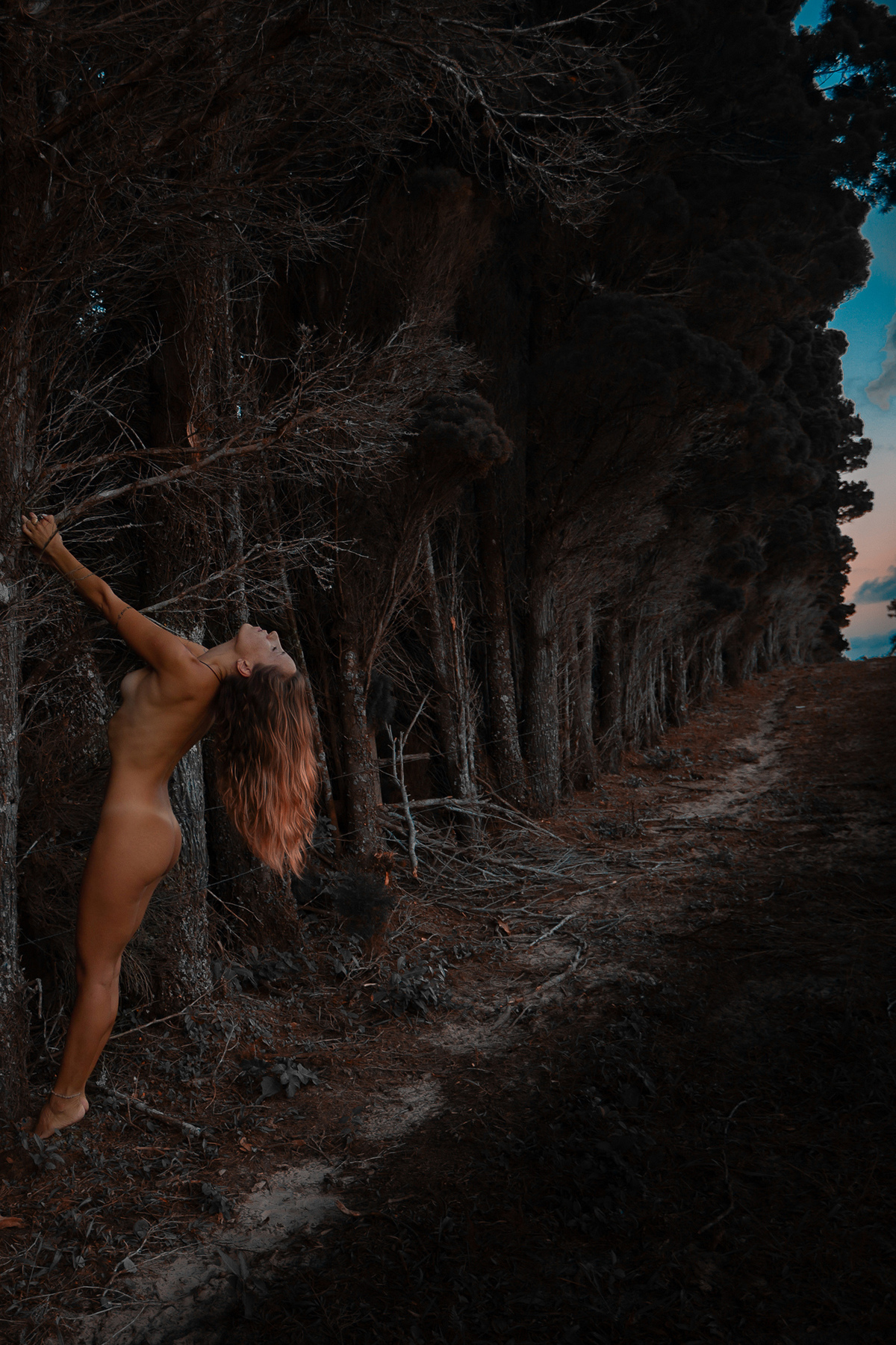 Nu artístico em Florianópolis. Trabalho de Ricardo Zanetta