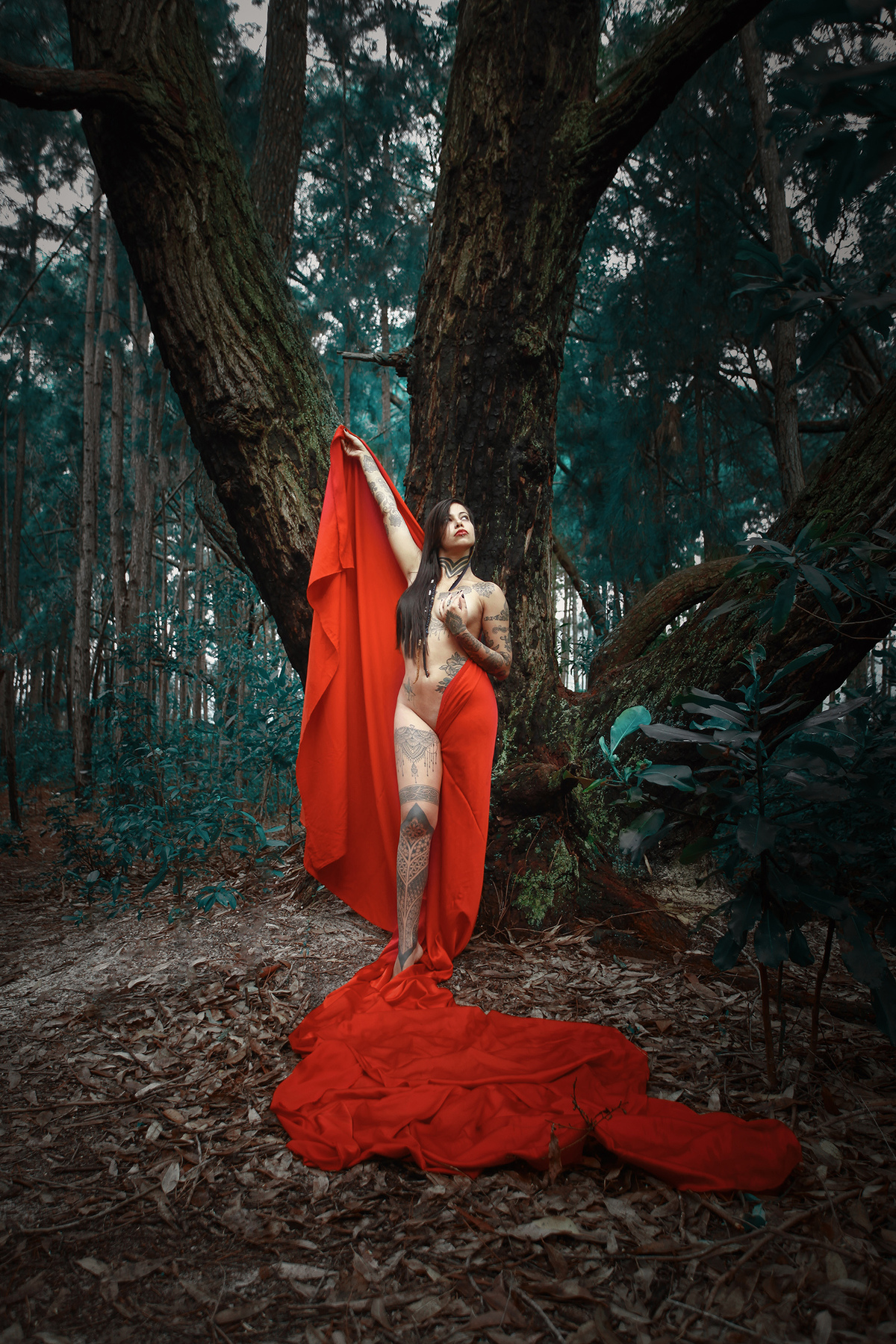 Ensaio de nu artistico de uma mineirinha pra lá de gente boa. Ricardo Zanetta