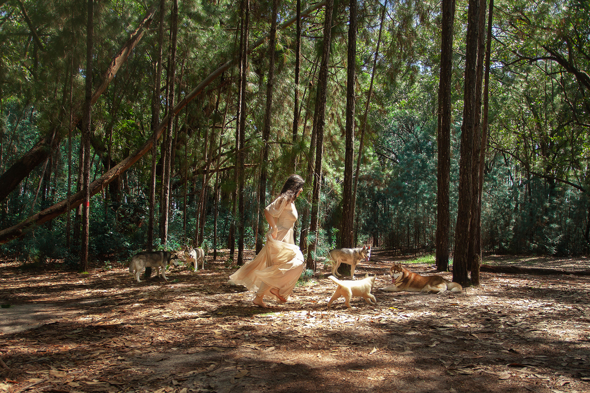 Mulheres que correm com lobos. Ensaio com Husky Siberiano. Realizado na floresta do Moçambique por Ricardo Zanetta