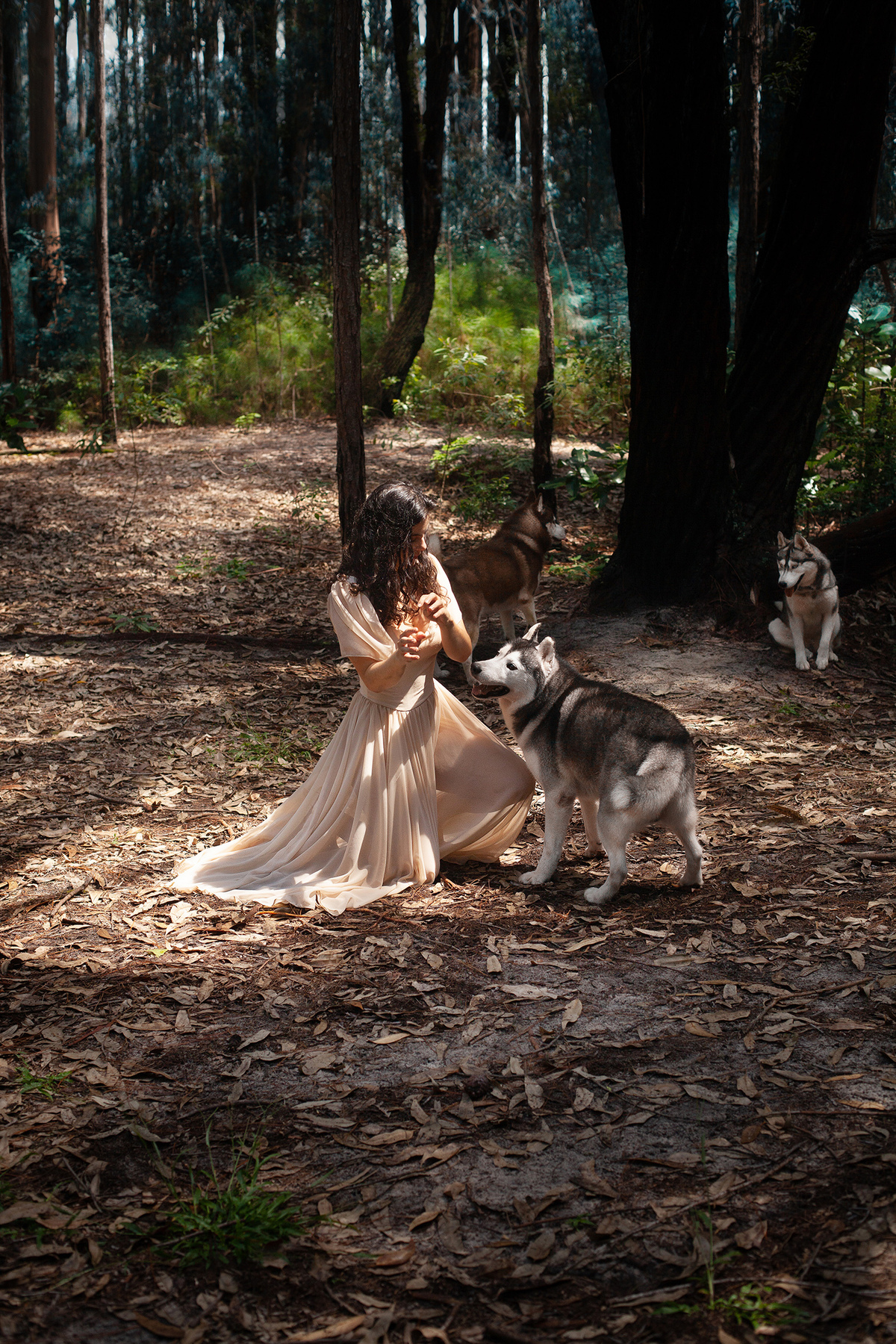 Mulheres que correm com lobos. Ensaio com Husky Siberiano. Realizado na floresta do Moçambique por Ricardo Zanetta