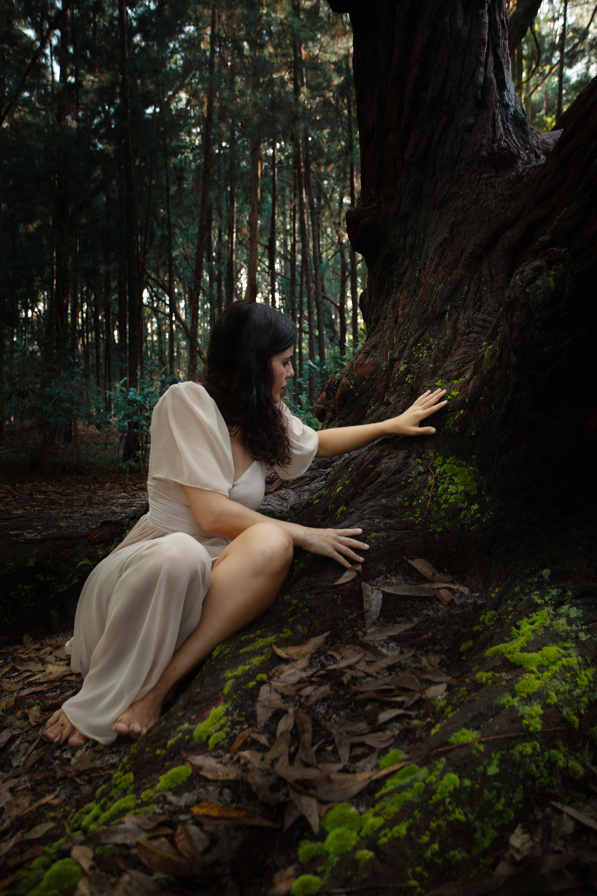 Mulheres que correm com lobos. Ensaio com Husky Siberiano. Realizado na floresta do Moçambique por Ricardo Zanetta