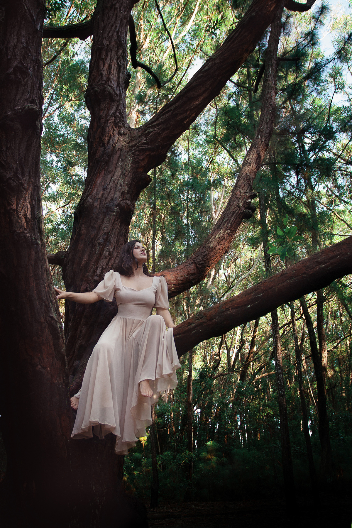 Mulheres que correm com lobos. Ensaio com Husky Siberiano. Realizado na floresta do Moçambique por Ricardo Zanetta
