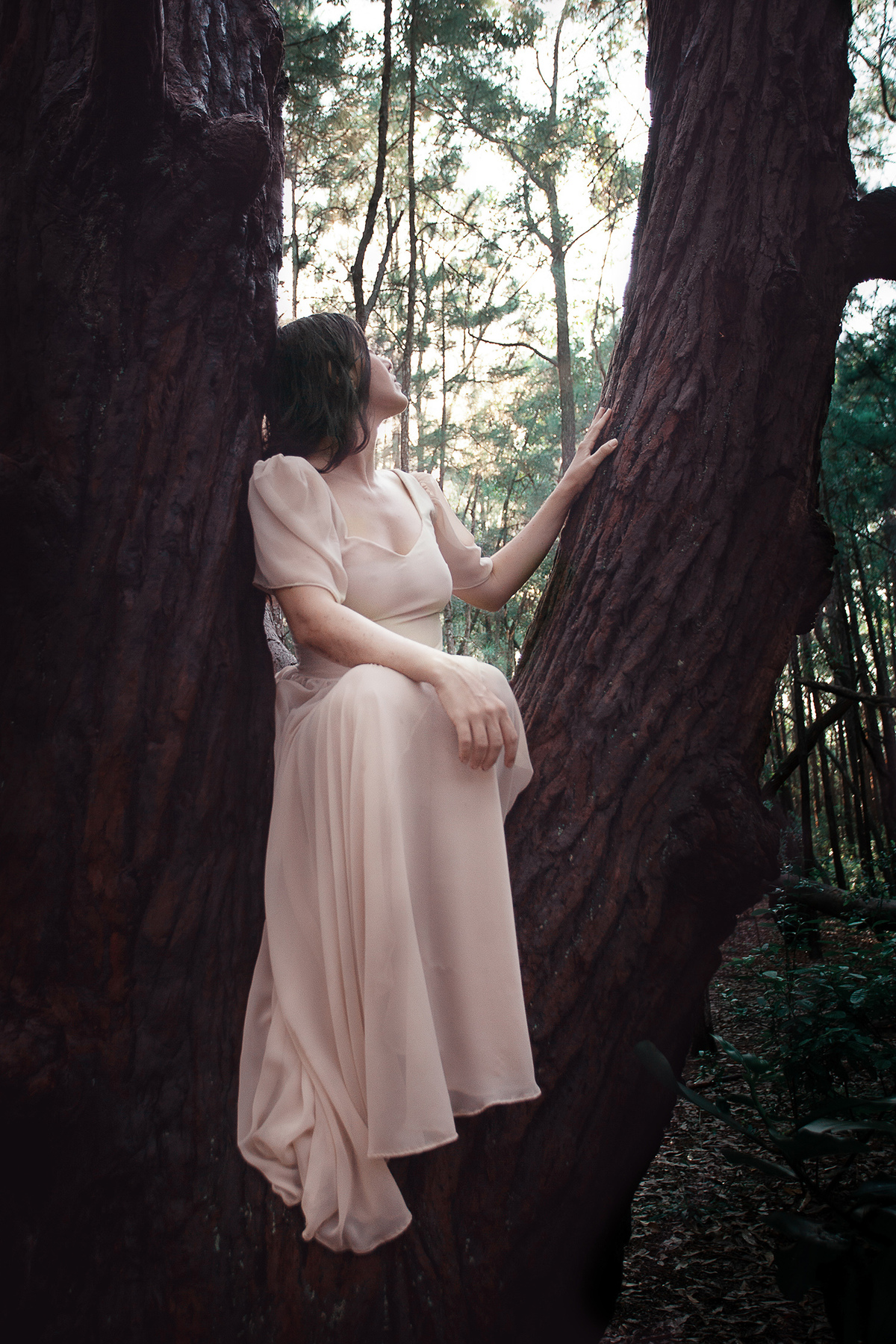 Mulheres que correm com lobos. Ensaio com Husky Siberiano. Realizado na floresta do Moçambique por Ricardo Zanetta