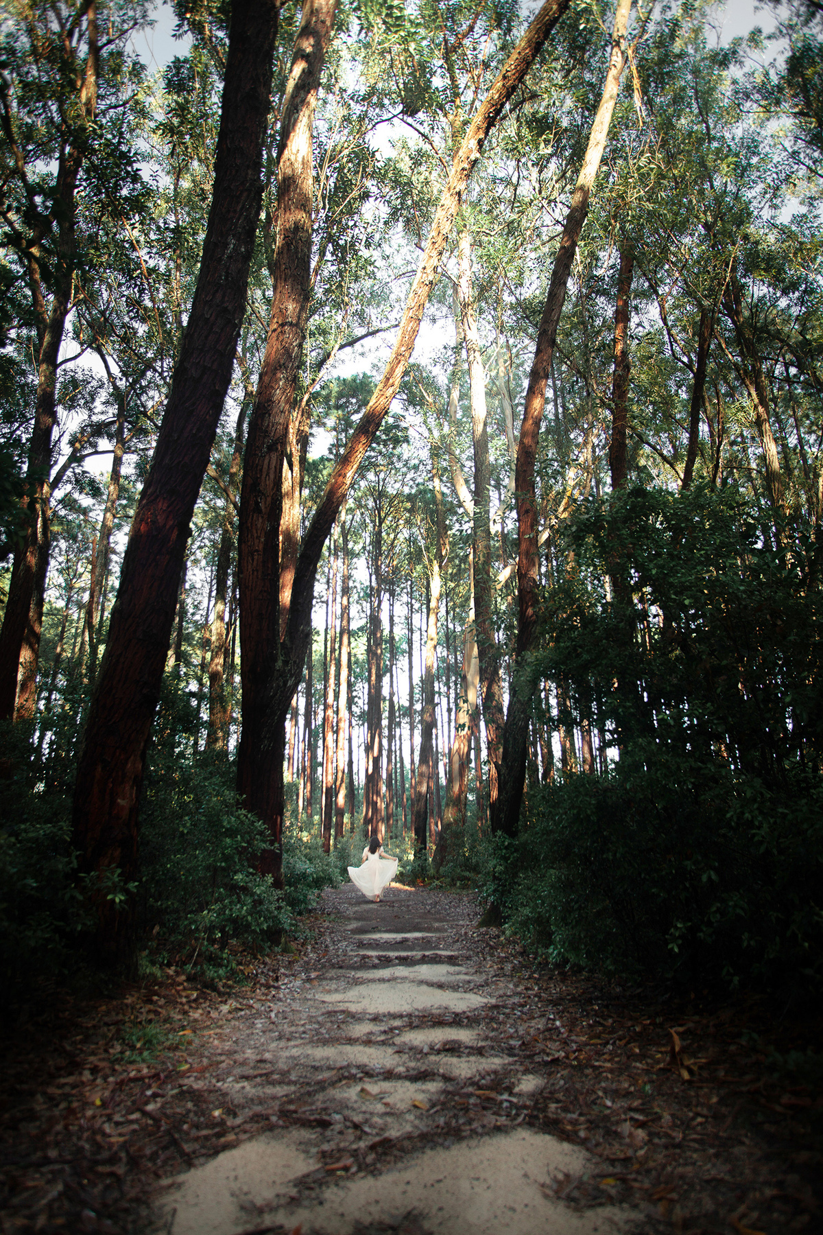 Mulheres que correm com lobos. Ensaio com Husky Siberiano. Realizado na floresta do Moçambique por Ricardo Zanetta