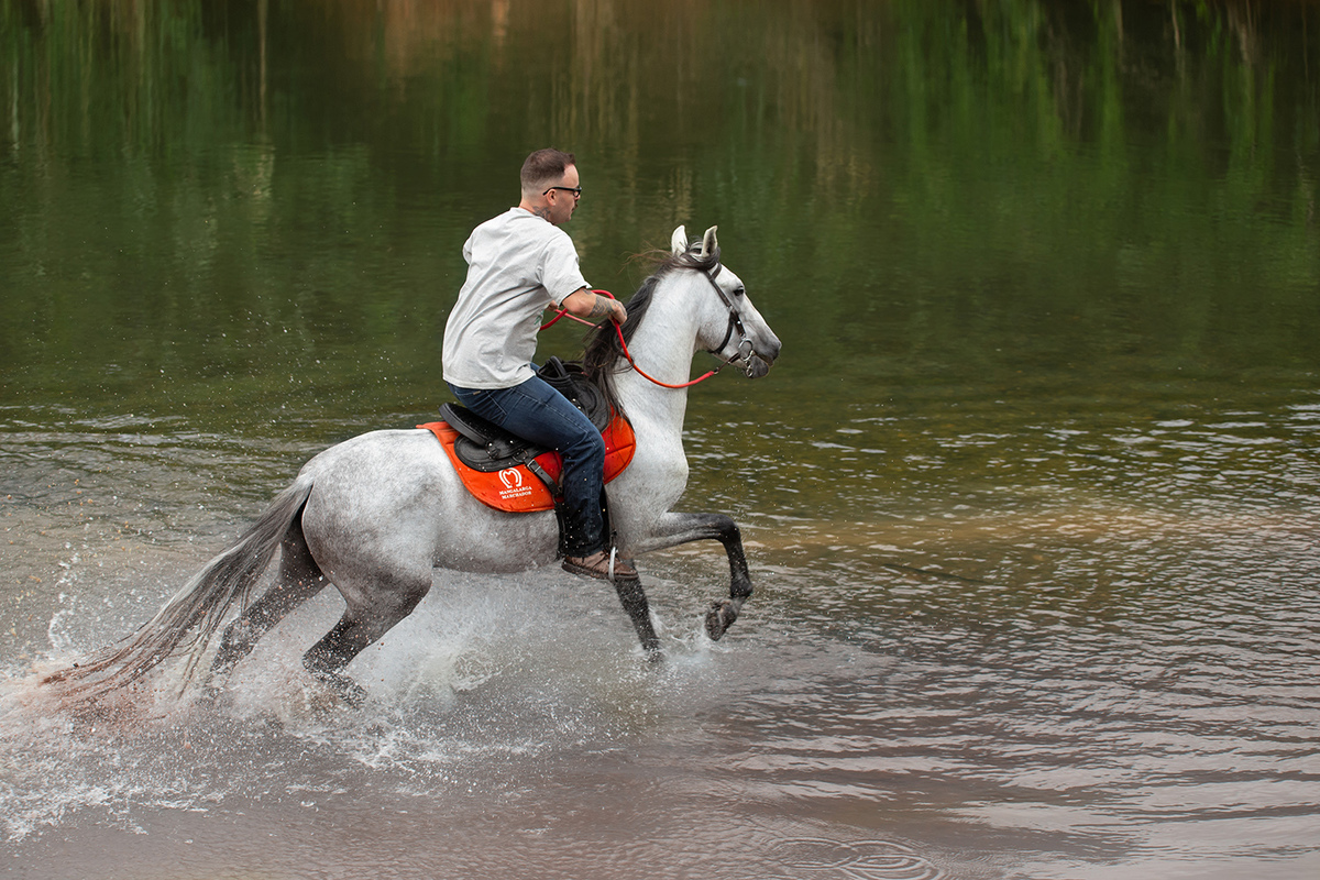 Ensaio de casal ( Ana Claudia Bus e Ivo Tattoo) em Brusque com cavalos por Ricardo Zanetta