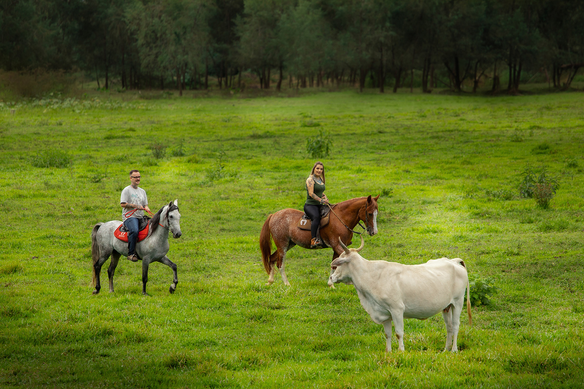 Ensaio de casal ( Ana Claudia Bus e Ivo Tattoo) em Brusque com cavalos por Ricardo Zanetta