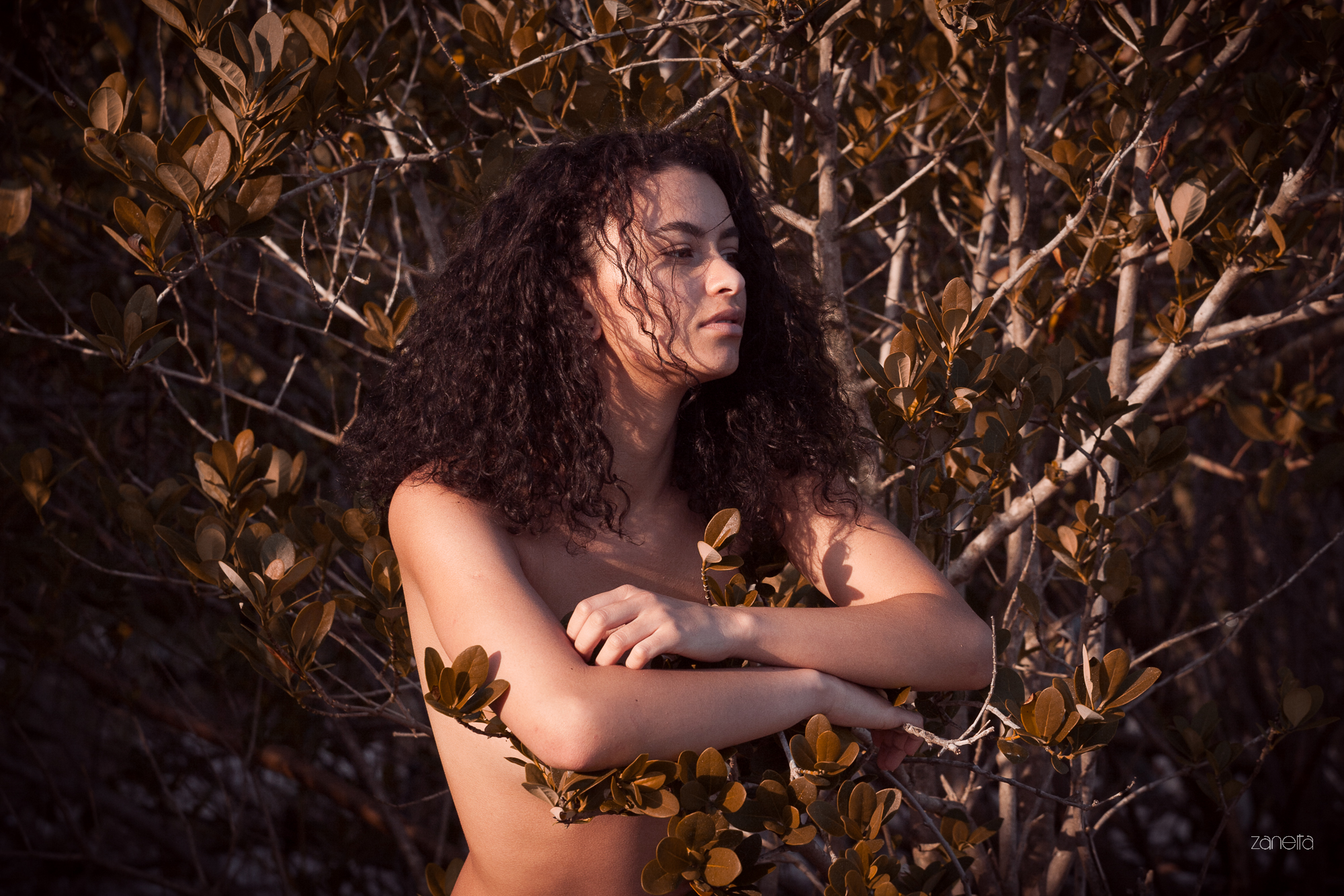 Isabelle Alves Dohle