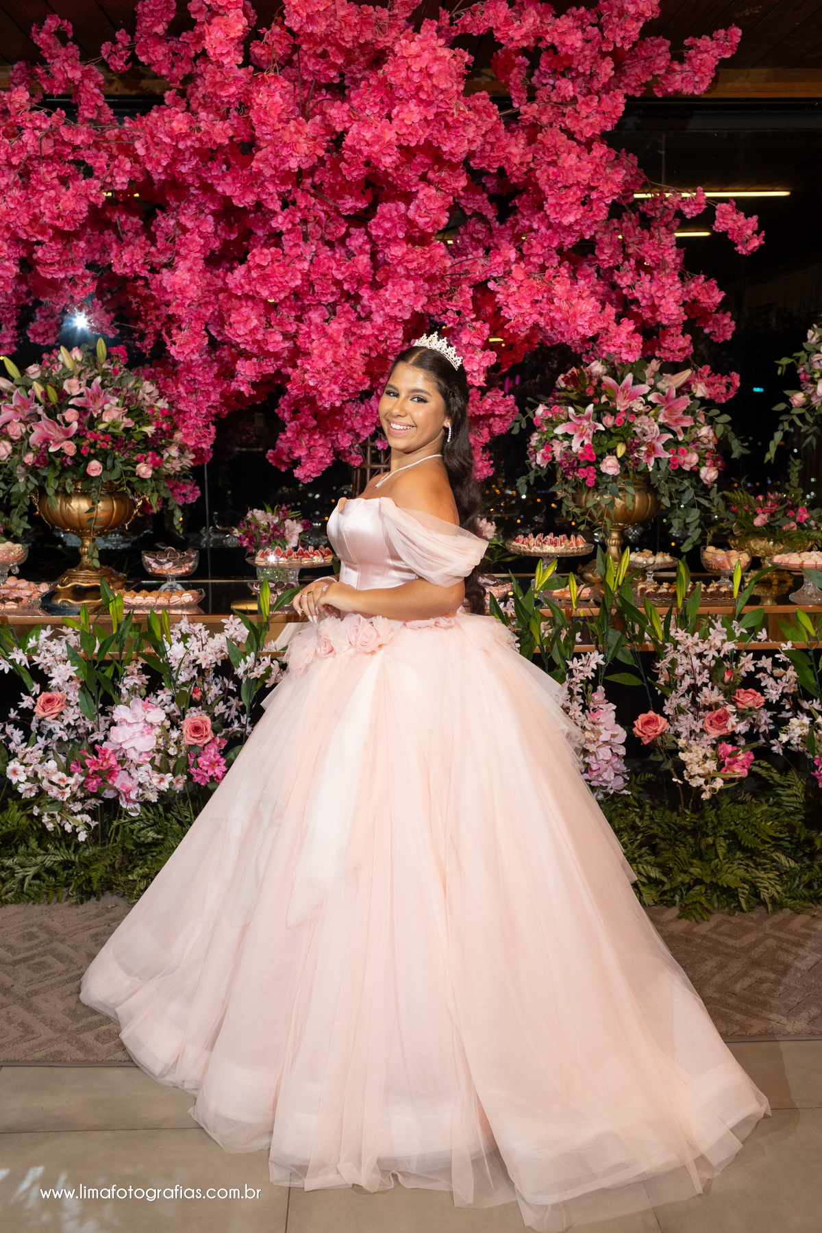 book debutante, festa de 15 anos