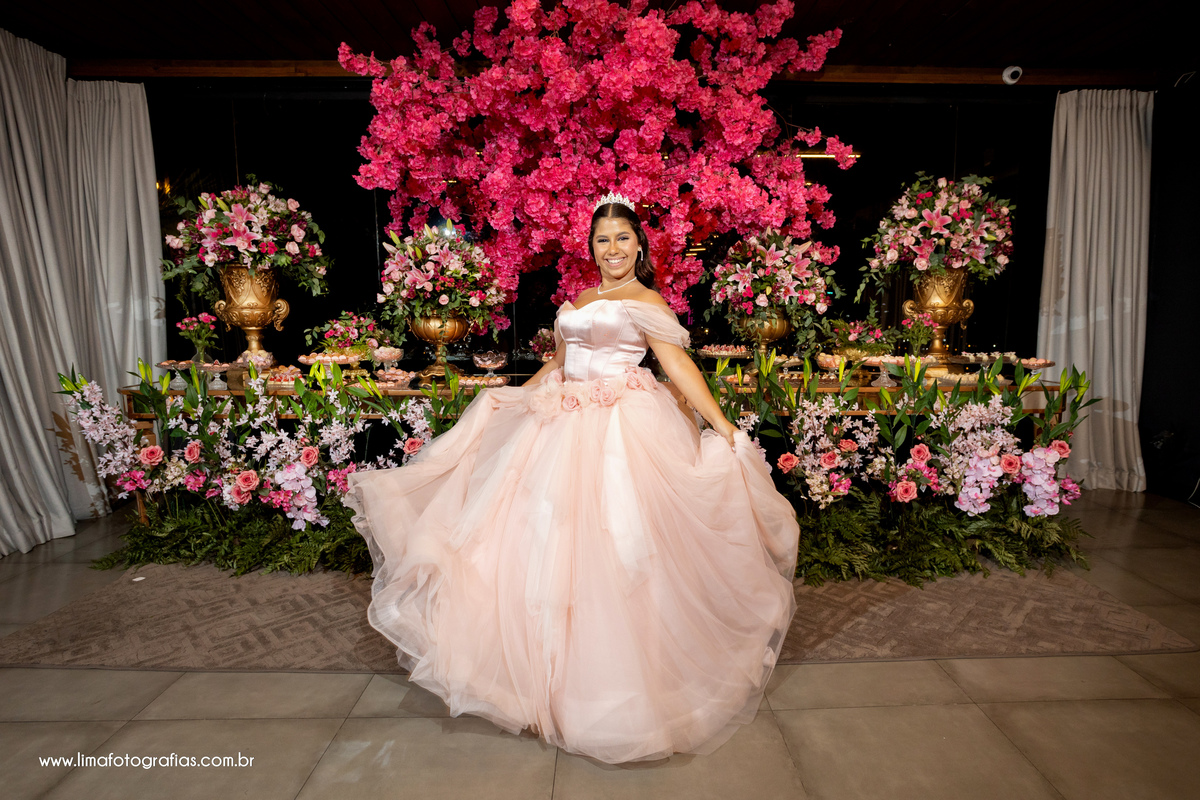 book debutante, festa de 15 anos