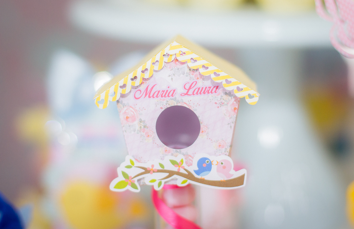 aniversário-infantil-Maria-Laura-Telêmaco-Borba-Pr