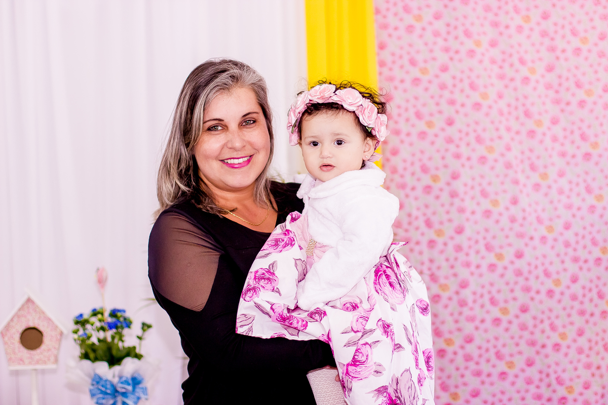 aniversário-infantil-Maria-Laura-Telêmaco-Borba-Pr