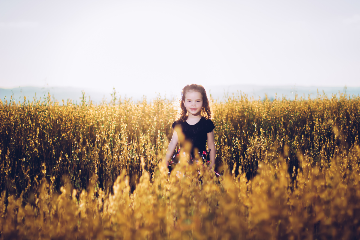 Ensaio casal de Ventania em Tibagi Parana 