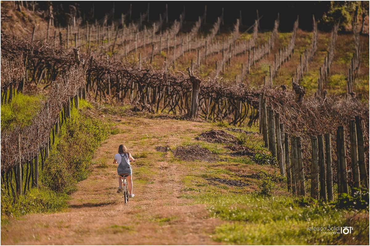 Julia descendo os parreirais secos no outono com sua bicicleta