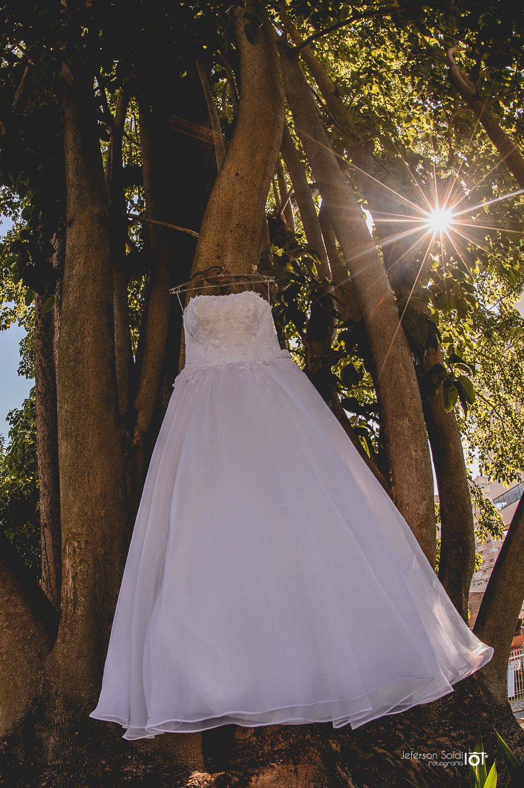 Vestido na noivo pendurado em uma arvore