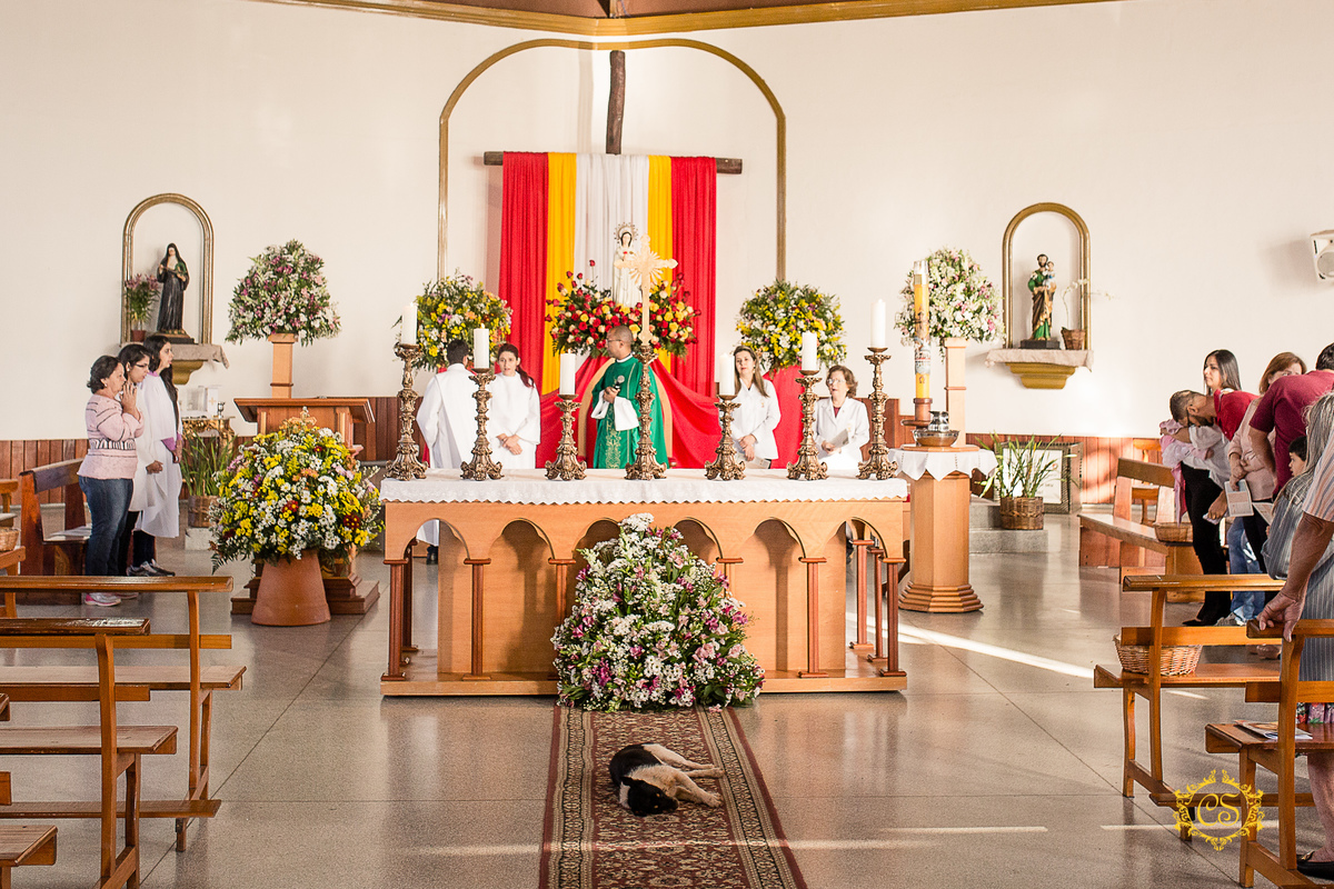 batizado alfredo freire 
padre fabiano equipe