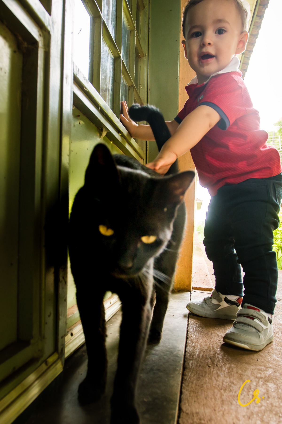 ensaio família, família, criança, diversão, alegria, brincadeiras, felicidade, uberaba, minas gerais, 1 ano, aniversário, gato