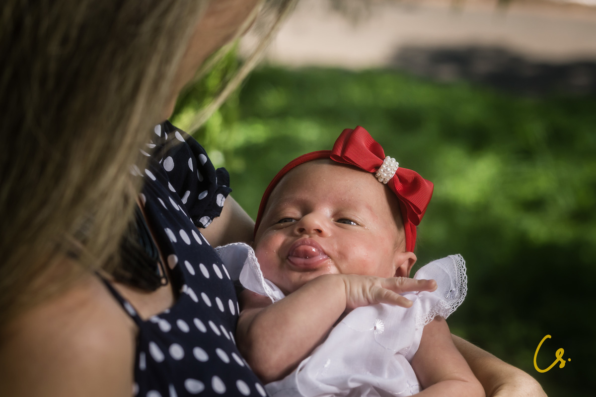 ensaio de família, família, mamãe de primeira viagem, recém nascida, mãe de menina, epamig, uberaba, papai coruja, uberaba, linguinha
