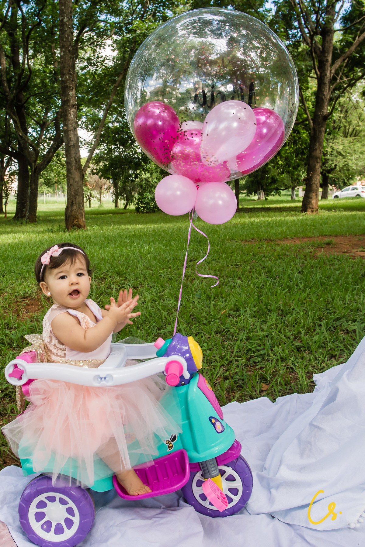 Ensaio fotográfico, ensaio infantil, smash, uberaba, ensaio de família, 1 ano, aniversário de 1 ano, 