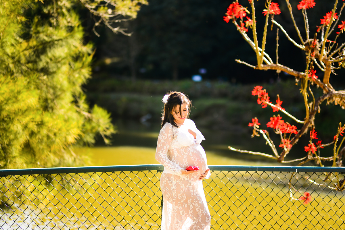 Ensaio Gestante Hotel Recanto das Hortênsias Passa Quatro Minas Gerais