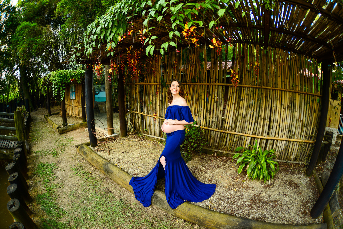 Ensaio Gestante Guaratinguetá 