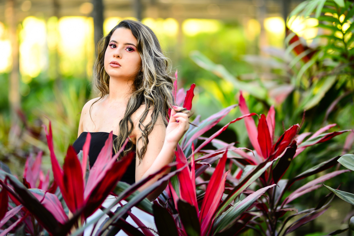 Ensaio 15 anos Fazendinha das Flores Lorena São Paulo