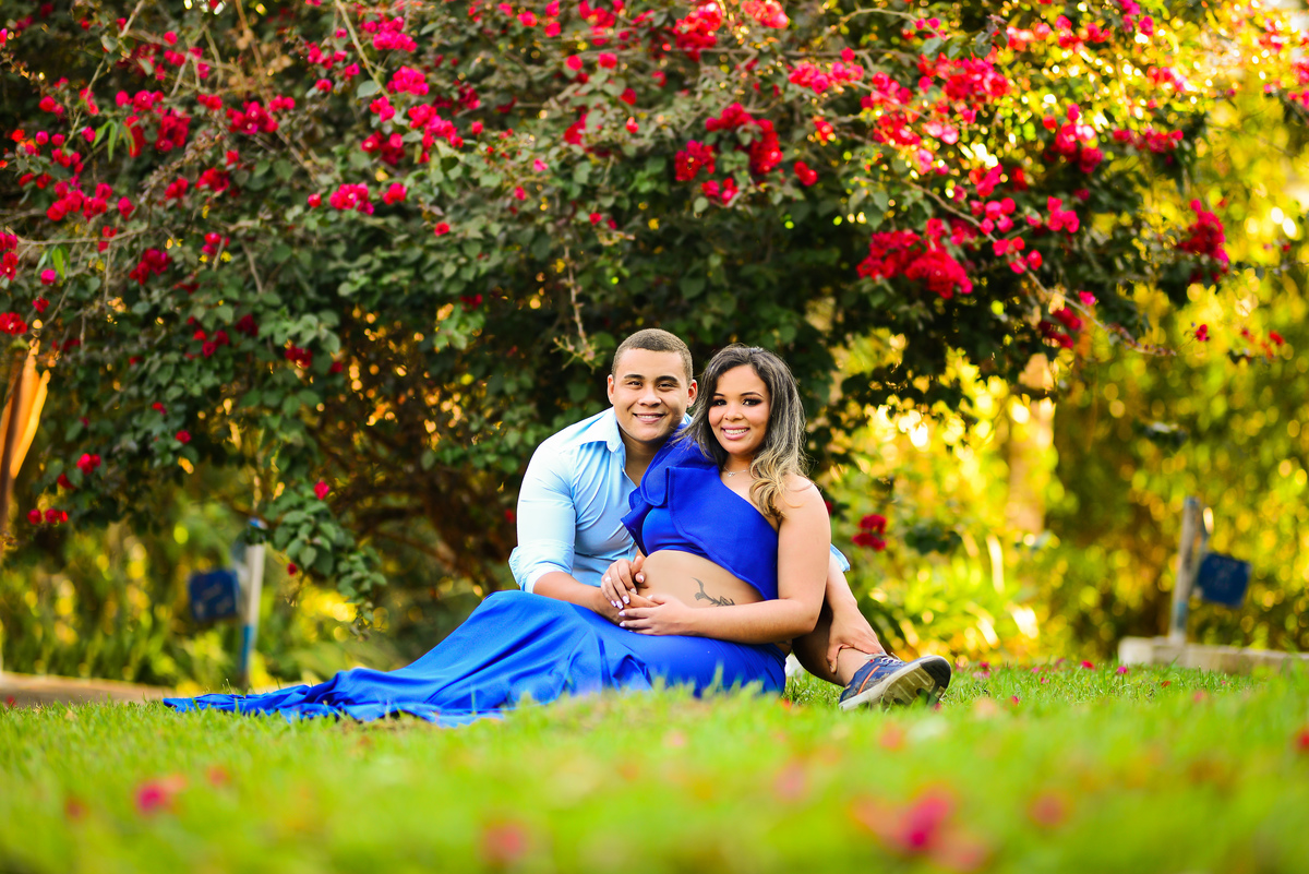 Ensaio Gestante Fazenda Palmital Engenheiro Passos Rio de Janeiro