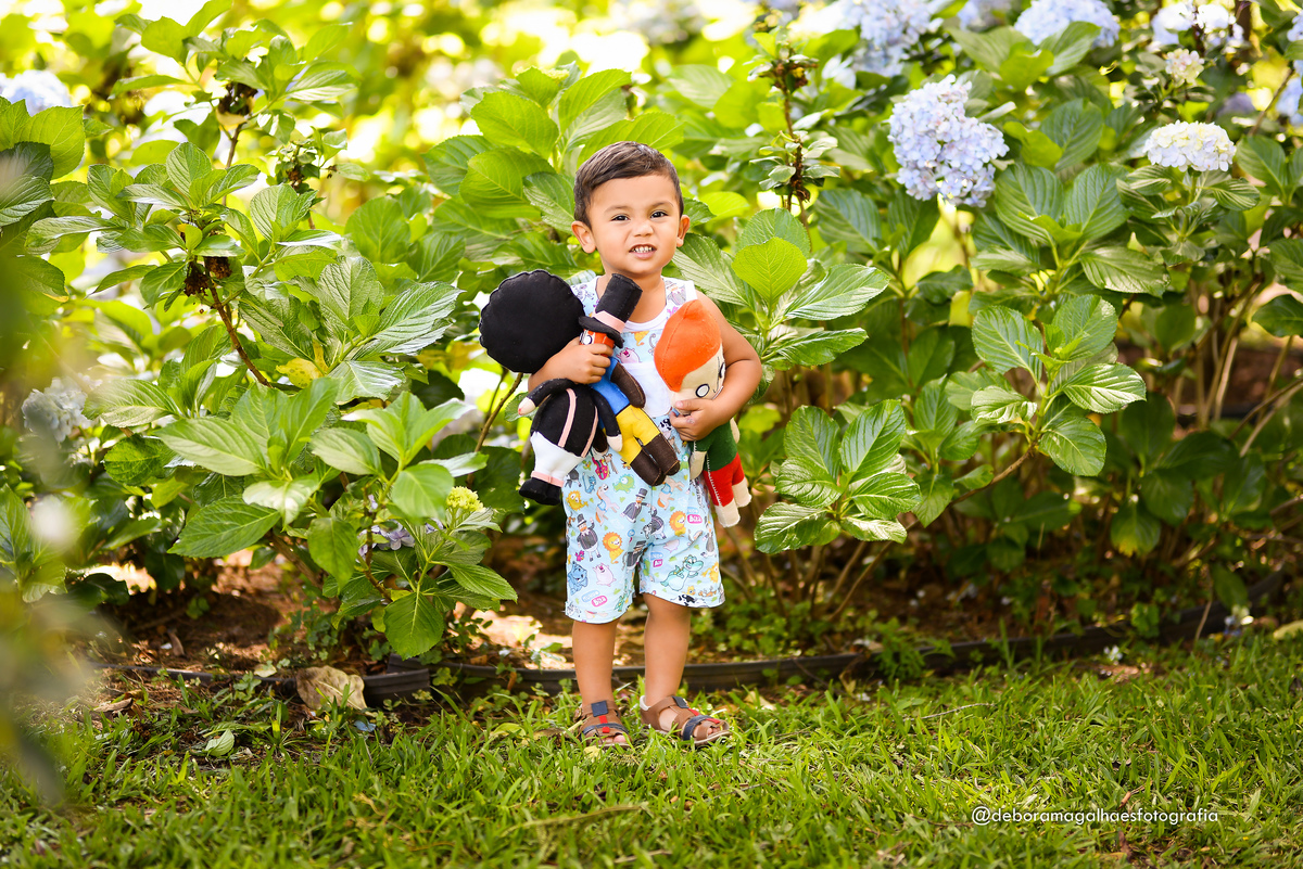 Ensaio Infantil Passa Quatro Minas Gerais