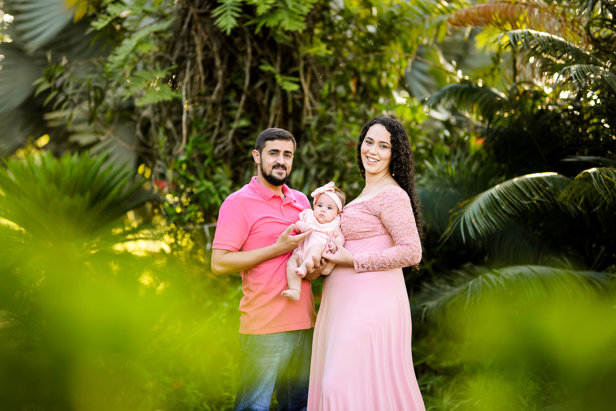 Ensaio Família Fazendinha das Flores Lorena - SP