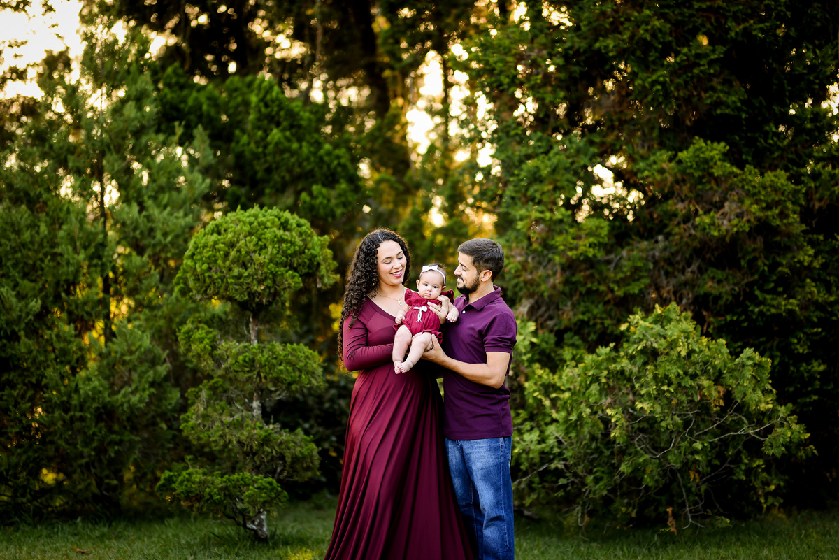 Ensaio Família Fazendinha das Flores Lorena - SP