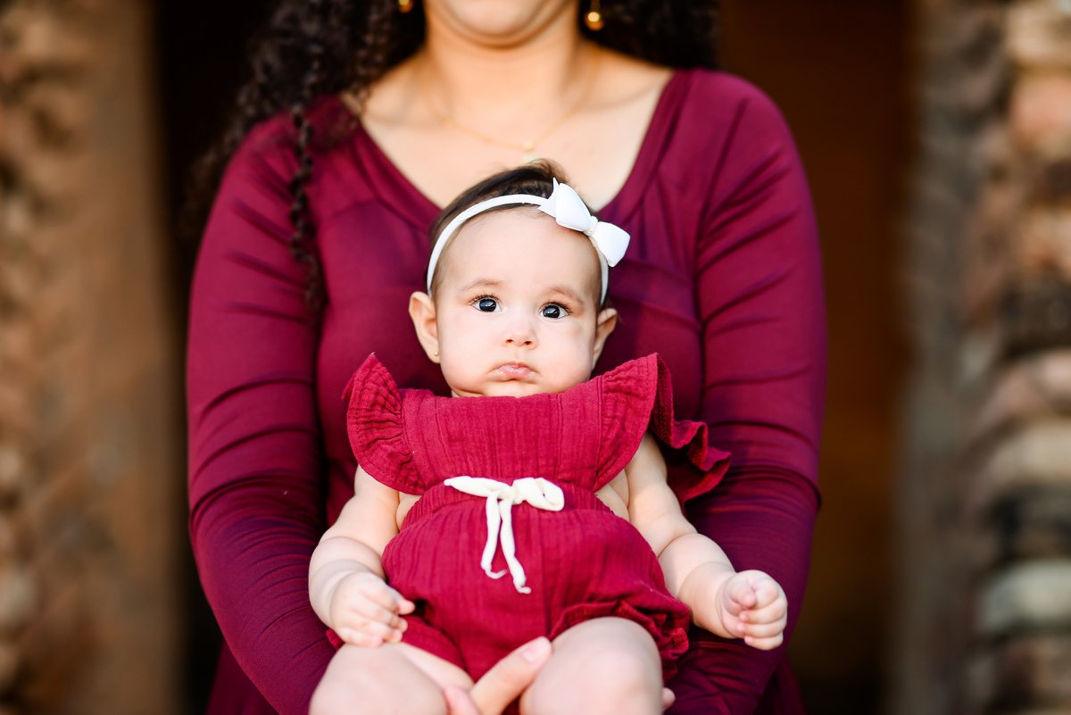Ensaio Família Fazendinha das Flores Lorena - SP