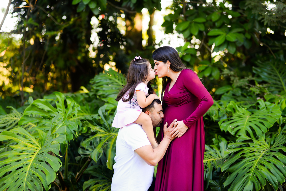 Ensaio Gestante Fazendinha das Flores Lorena SP