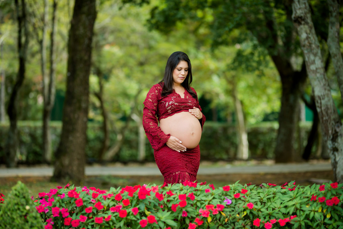 Ensaio Gestante Passa Quatro MG