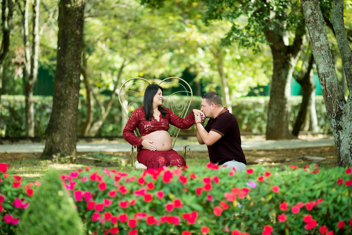 Ensaio Gestante Passa Quatro MG