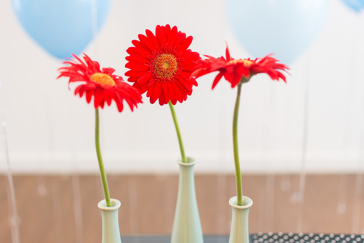 flores mesa do bolo em são paulo por alice casaes fotografia