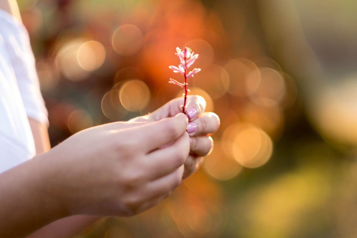 ensaio lifestyle segurando a flor alice casaes fotografia guarujá