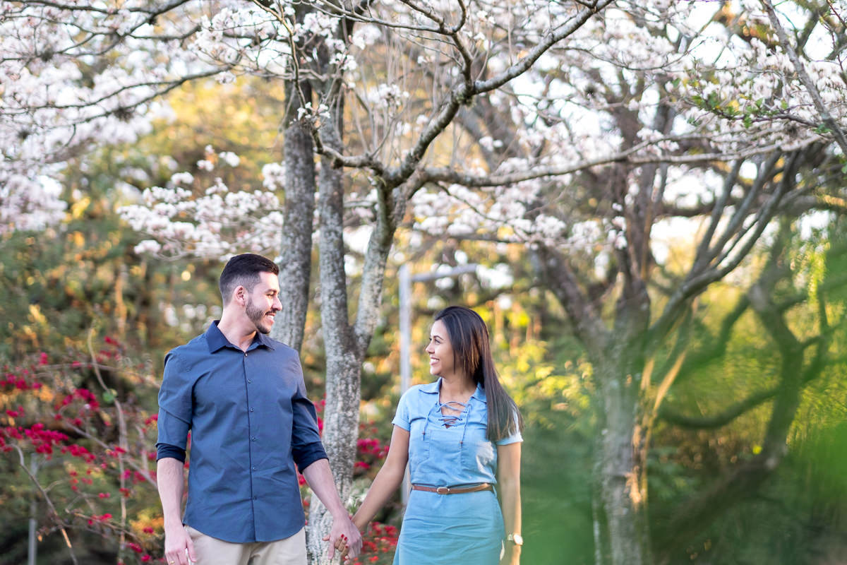 arvores se olhando ibirapuera