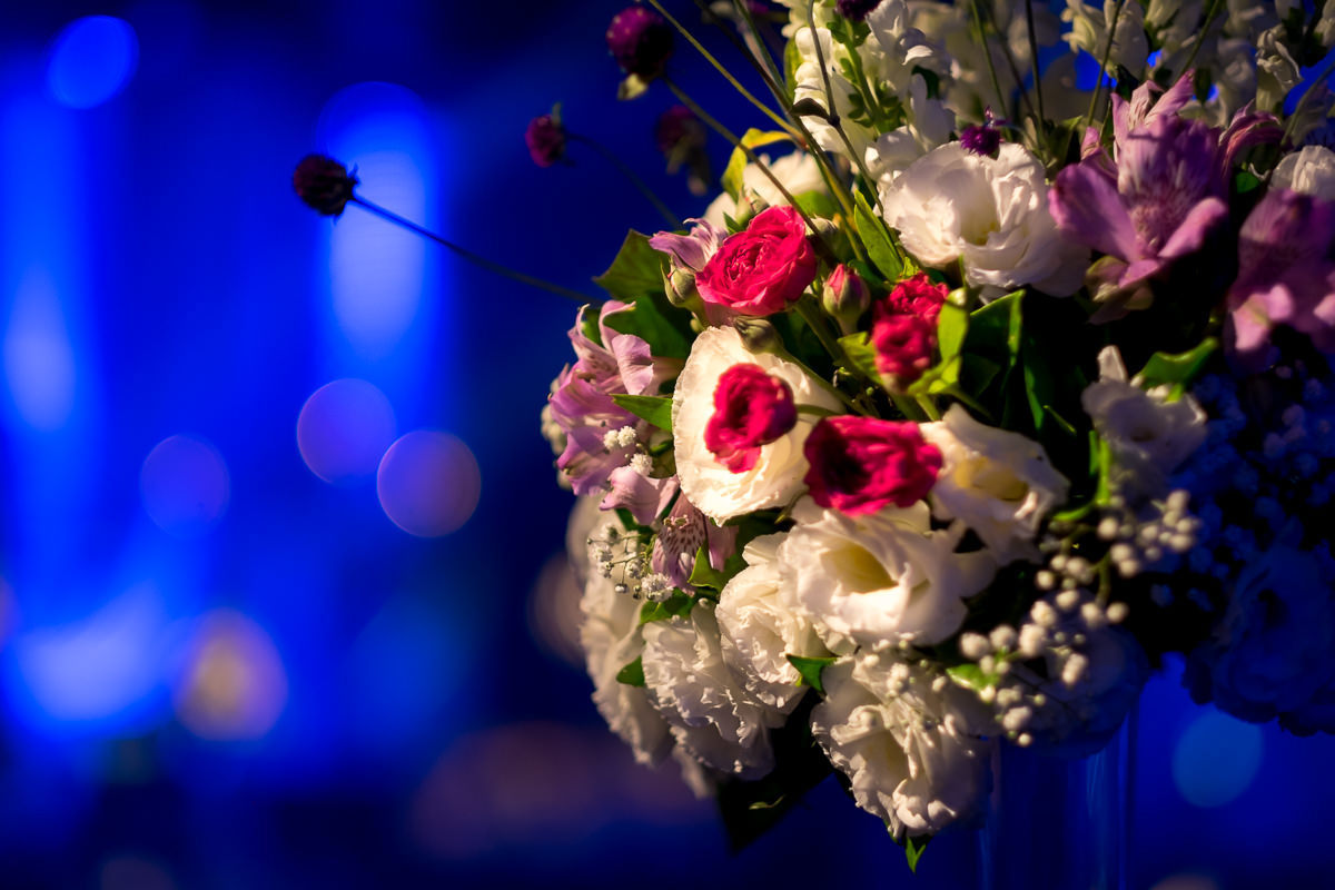 decoração flora nativa