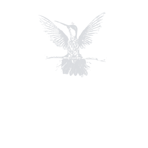 Logotipo de André Gustavo Alves Nunes