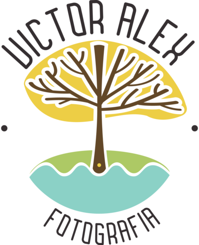Logotipo de Victor Alex Fotografia