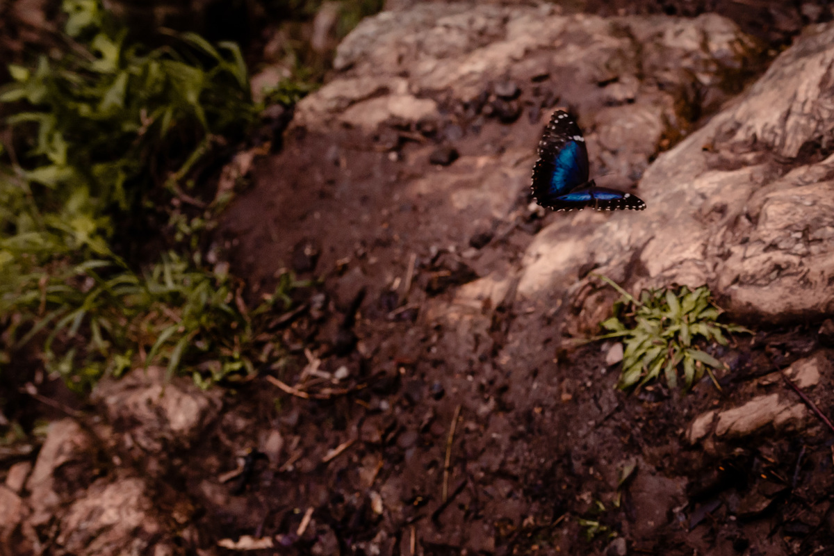 casamento, making of, previa, casal, festa, bodas, fotografia de casamento, fotografo de casamento, petrolina, pernambuco, juazeiro